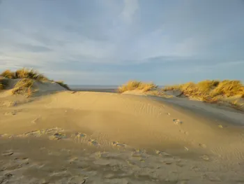 Oostnieuwkerke duinen wandeling in de koude (België)